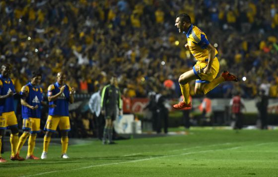 Tigres campeon