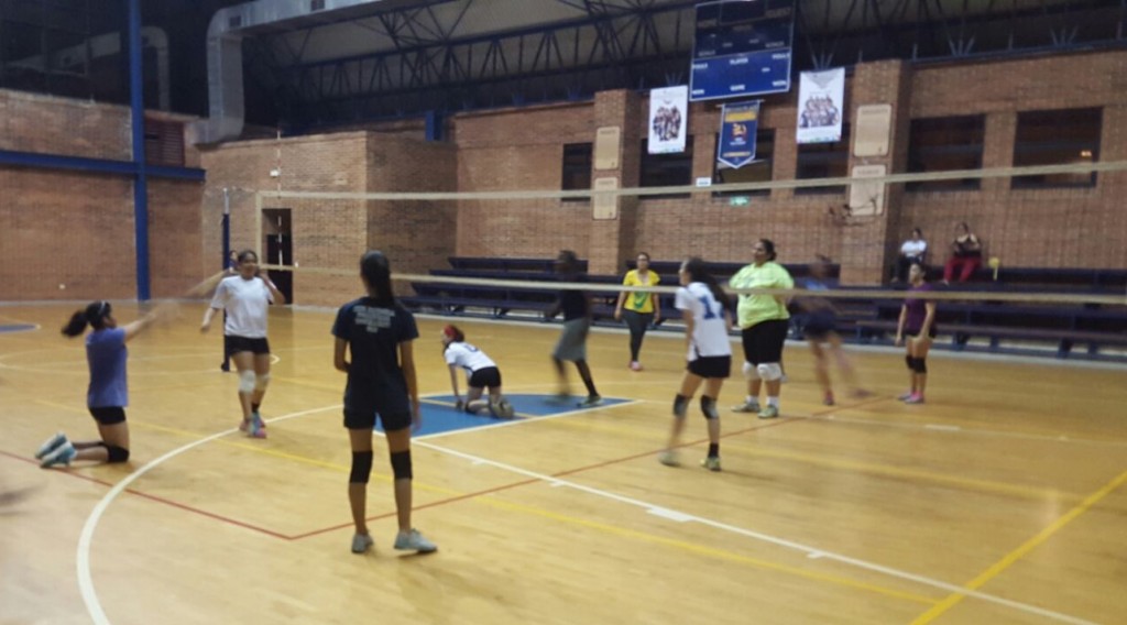 Voleibol (5)