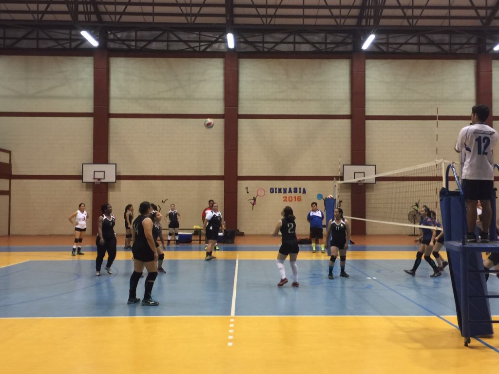 Juego Aguilas-Stellar