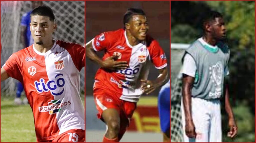 TNAF falla que Clever Portillo, Cristian Manaiza y Palacios regresan al Vida